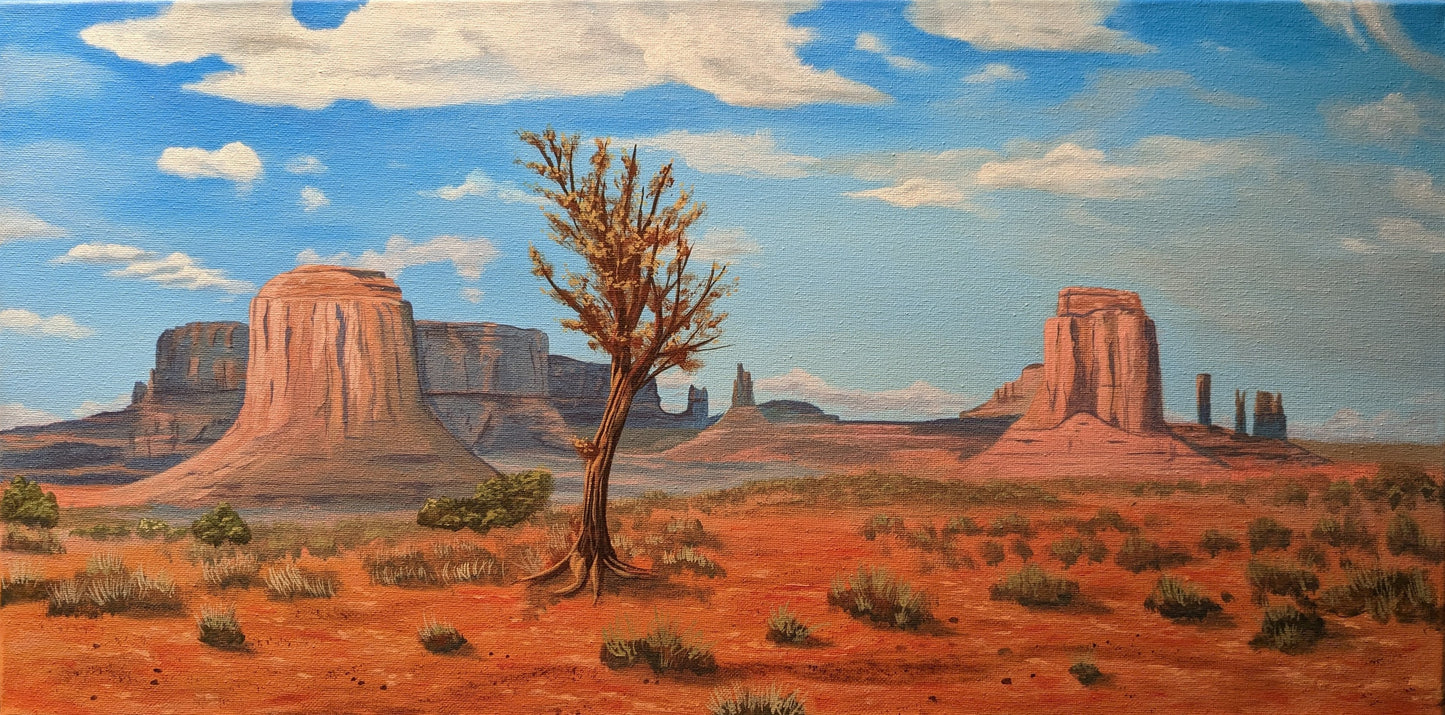 'Dry Desert' 12x24