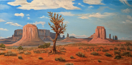 'Dry Desert' 12x24